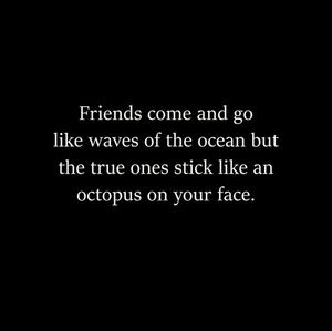 Meet your Posher, Syd